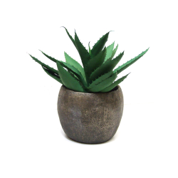 Kwiat w doniczce Aloes 28cm